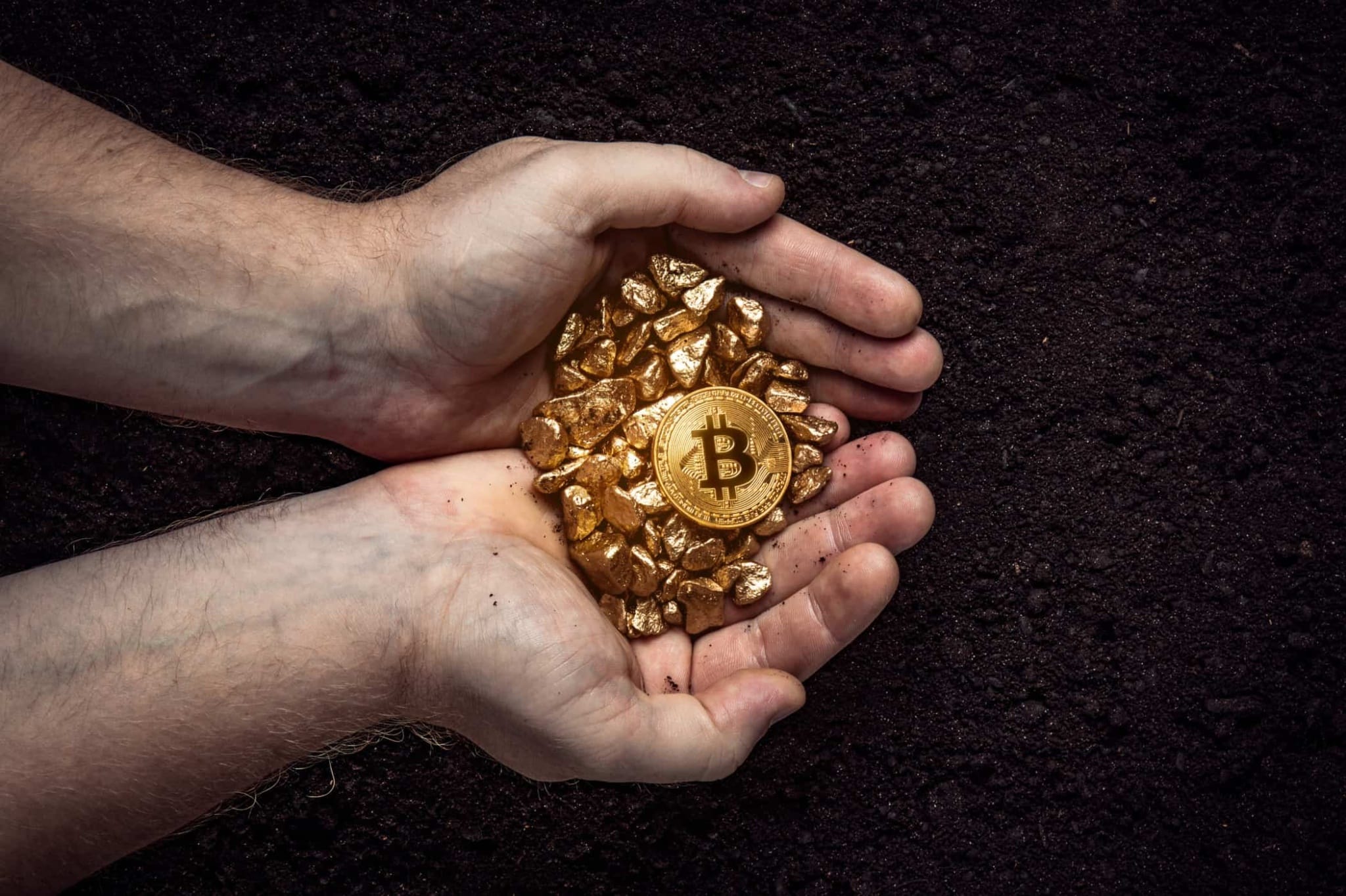 Le Bch Pourrait Atteindre Les 2 000 $ Si Cela Se Produit - Bitcoin