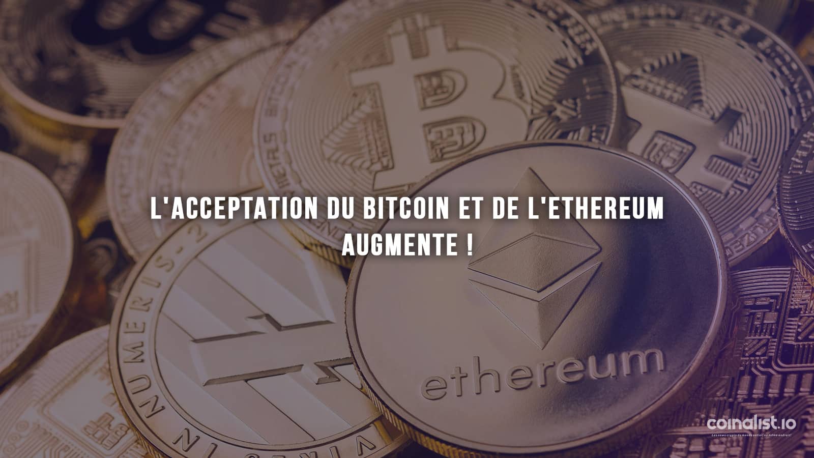 L'Acceptation Du Bitcoin Et De L'Ethereum Augmente - Crypto-Monnaie