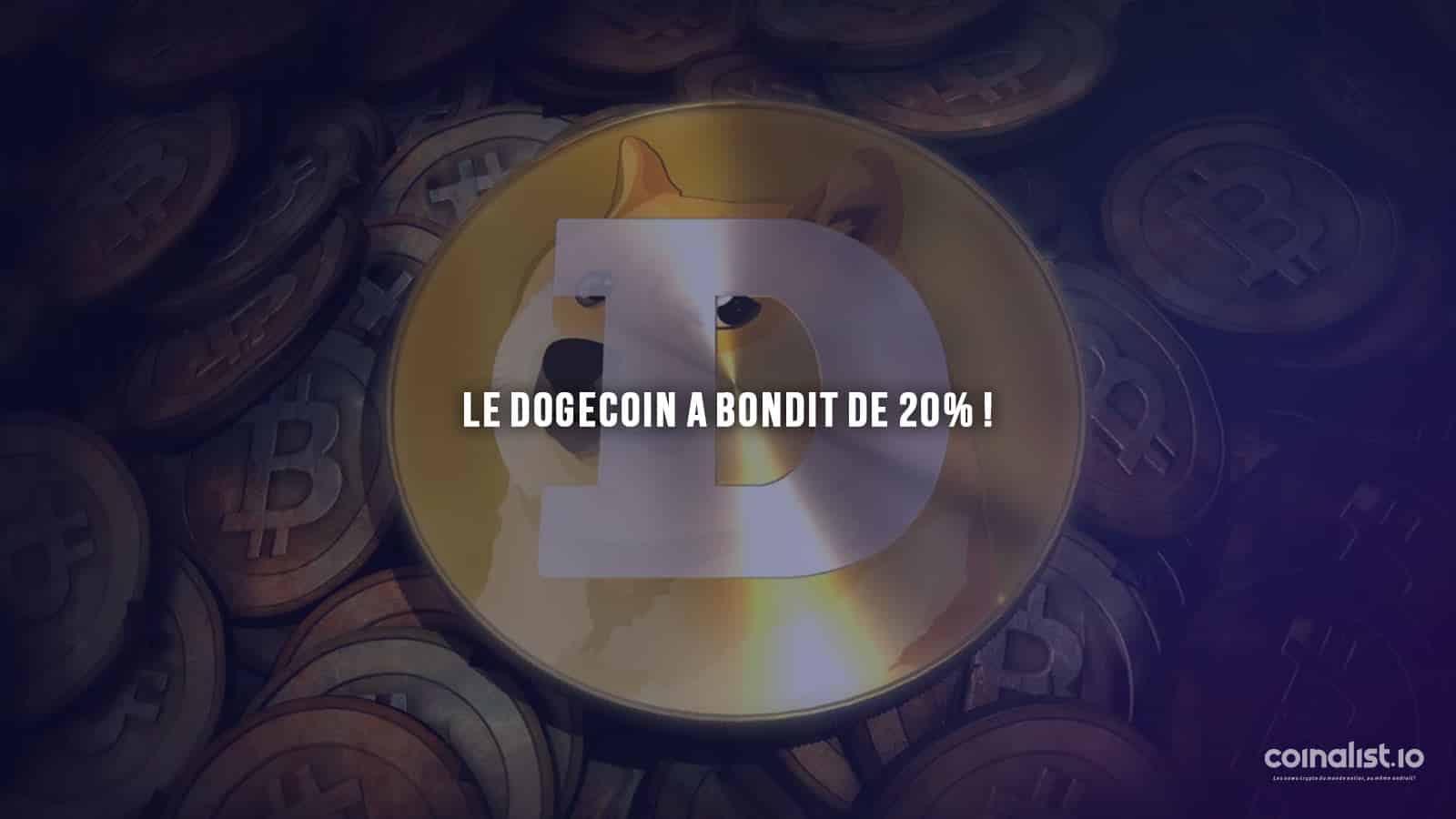 Le Dogecoin Bondit De 20 Pour Cent - Dogecoin