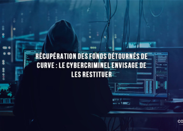 Cybercriminalité - Pirate De Sécurité