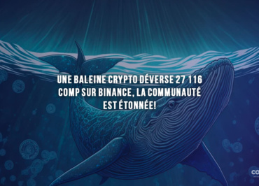 Whale Crypto Comp