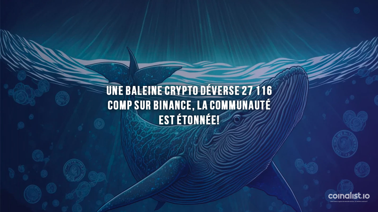 Whale Crypto Comp